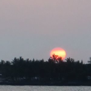 Meet your Posher, Julian